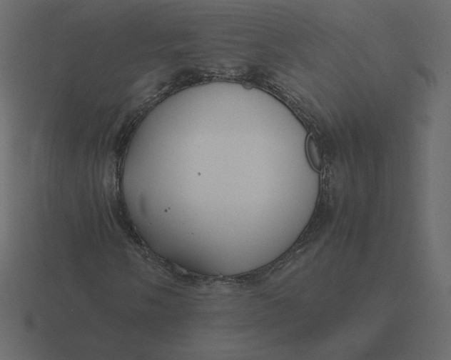 X0000116581058200912241650