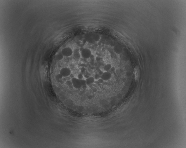 X0000116581059200912241650