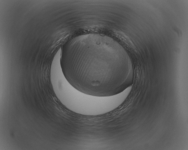 X0000116581060200912241650