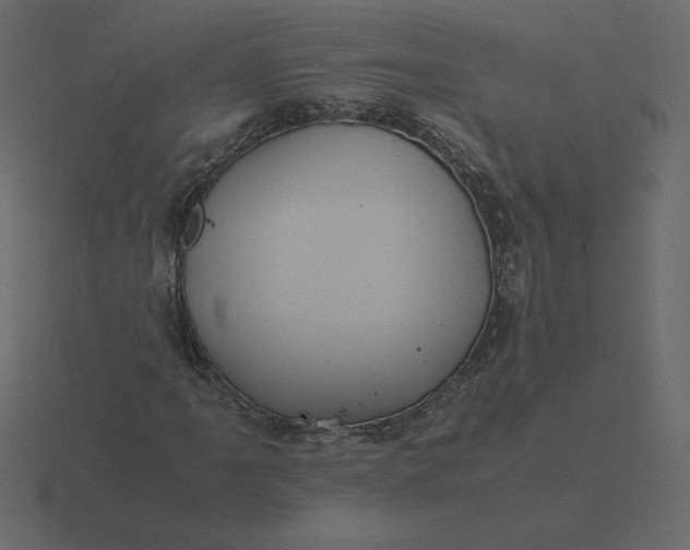 X0000116581061200912241650