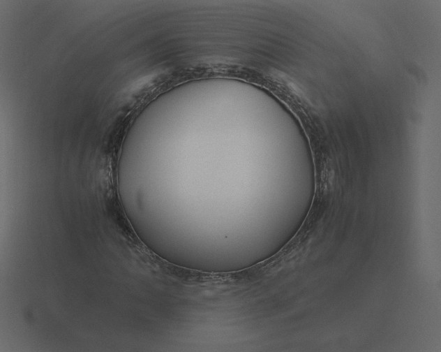 X0000116581062200912241650