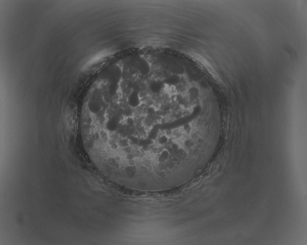 X0000116581063200912241650