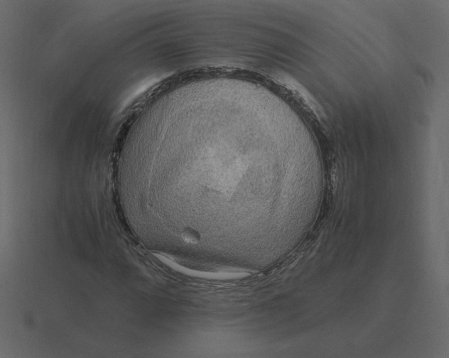 X0000116581064200912241650