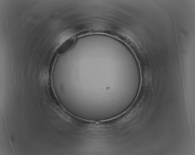 X0000116581065200912241650