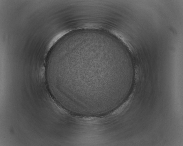 X0000116581066200912241650