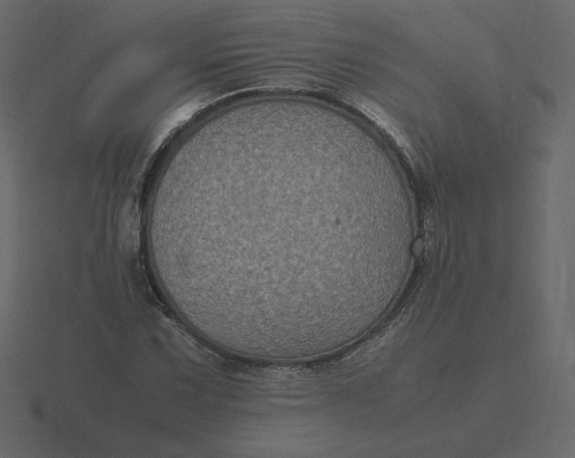 X0000116581067200912241650