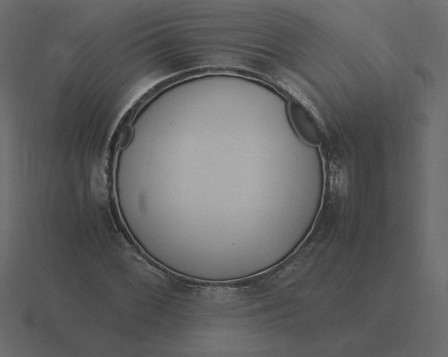 X0000116581068200912241650