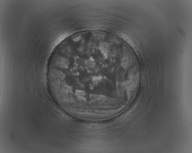 X0000116581071200912241650