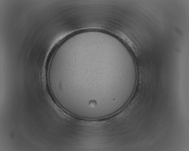 X0000116581072200912241650