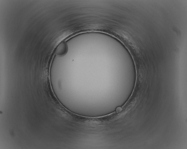 X0000116581073200912241649