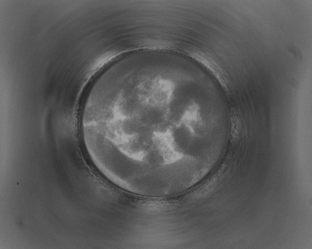 X0000116581074200912241649