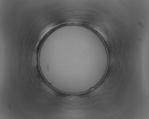 X0000116581075200912241649