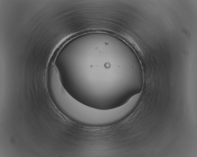 X0000116581076200912241649