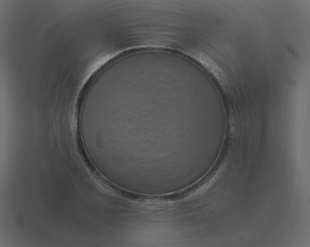 X0000116581077200912241649