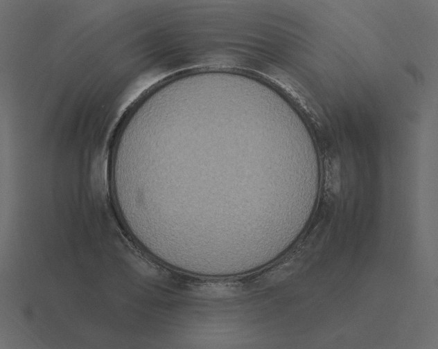 X0000116581078200912241649