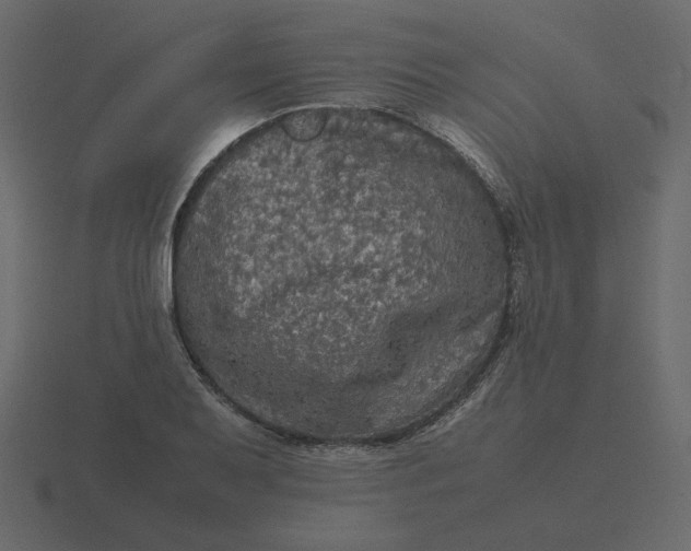 X0000116581079200912241649