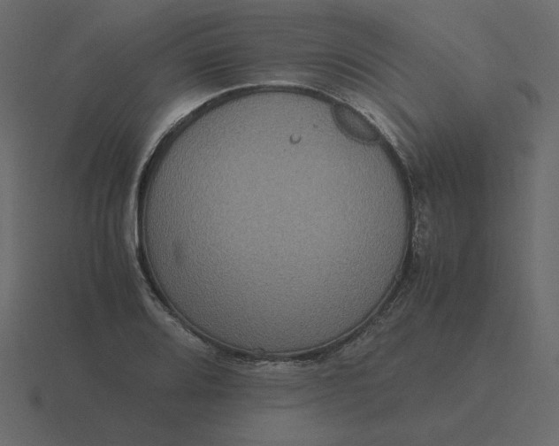 X0000116581080200912241649