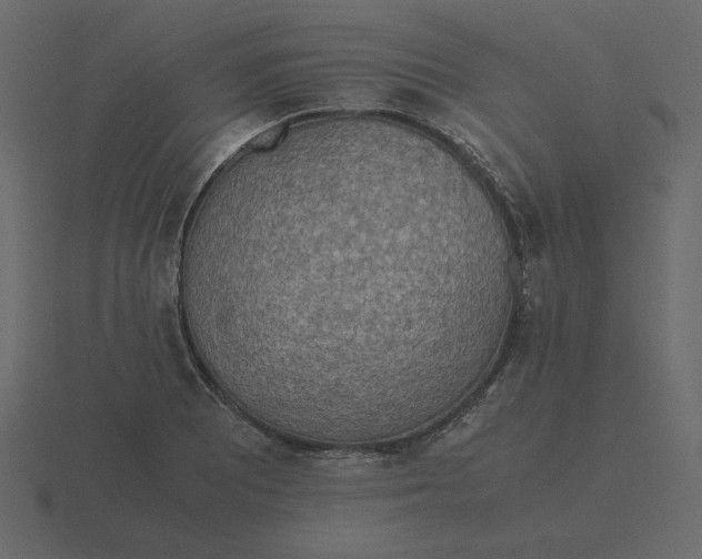 X0000116581081200912241649