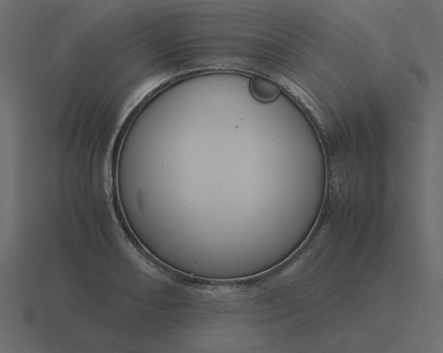 X0000116581082200912241649