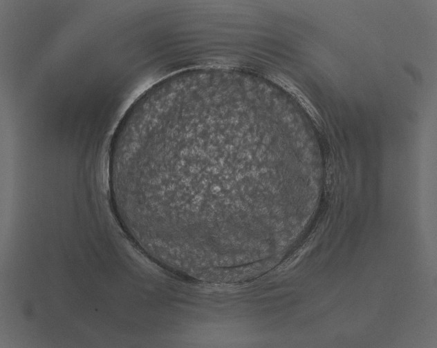 X0000116581083200912241649