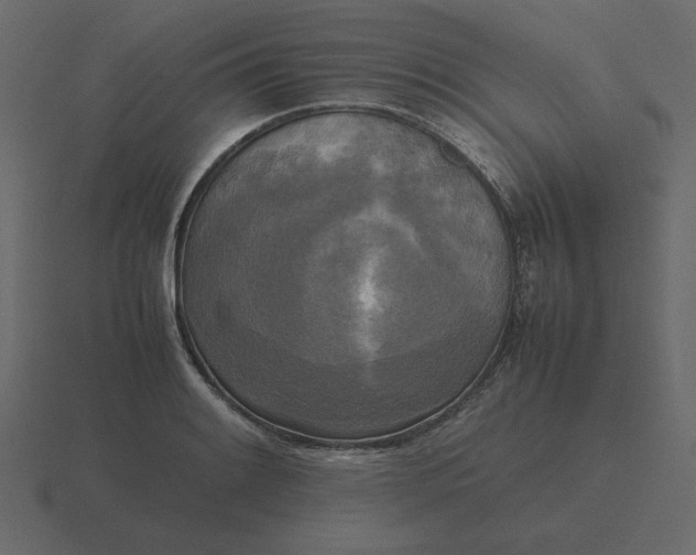 X0000116581084200912241649