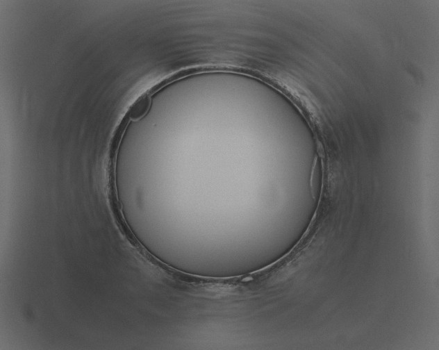 X0000116581085200912241649