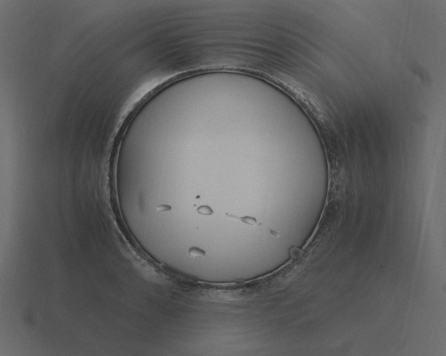 X0000116581086200912241649