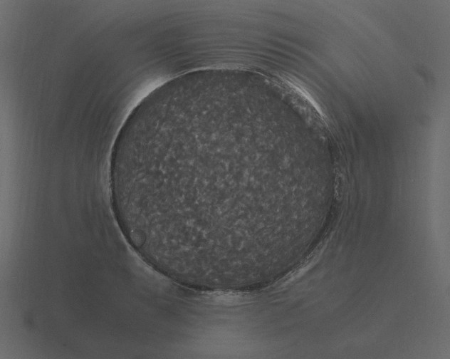 X0000116581087200912241649