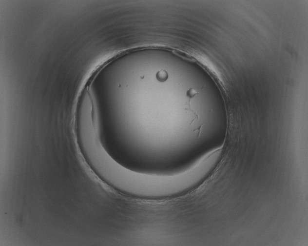 X0000116581088200912241649