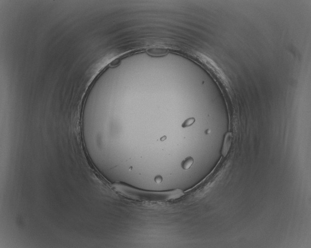 X0000116581089200912241649