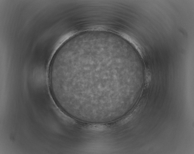 X0000116581090200912241649