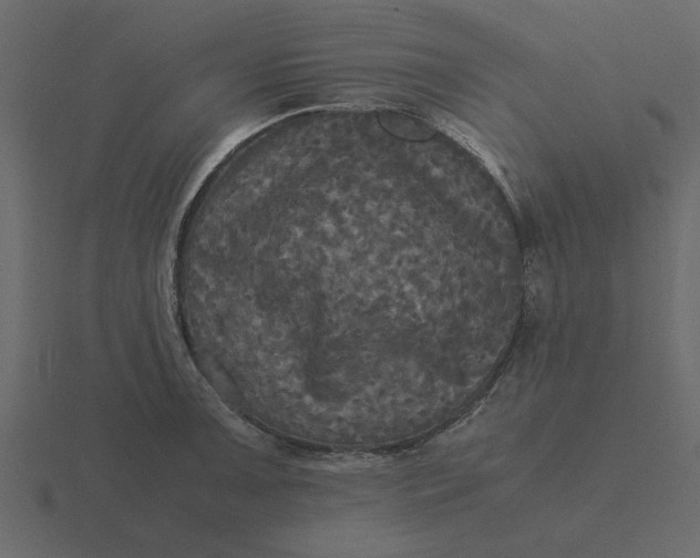 X0000116581091200912241649