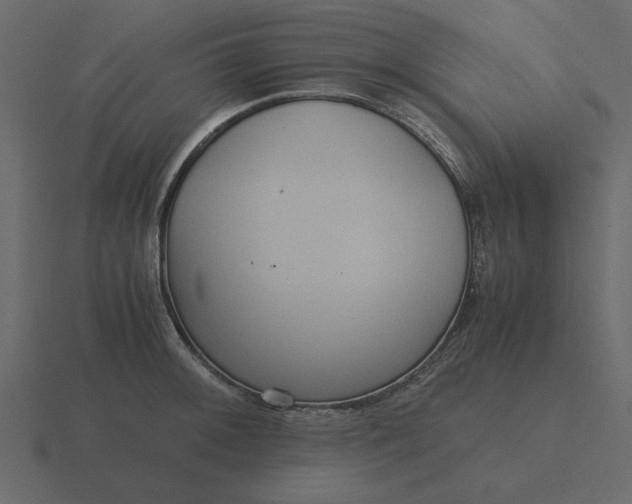 X0000116581092200912241649