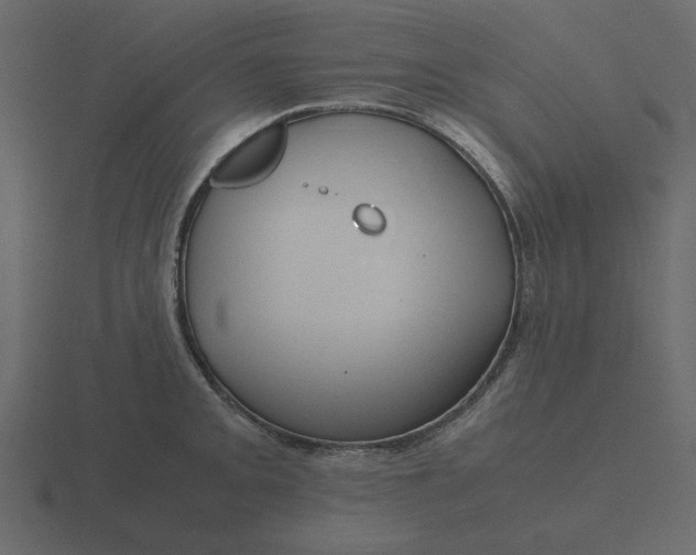 X0000116581093200912241649