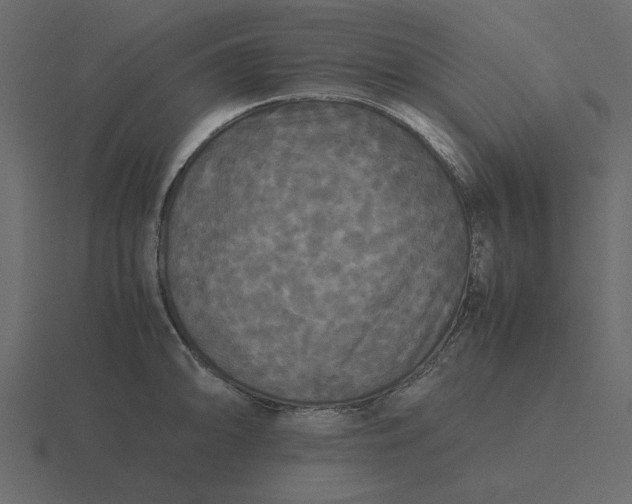 X0000116581094200912241649