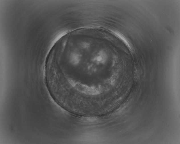 X0000116581095200912241649