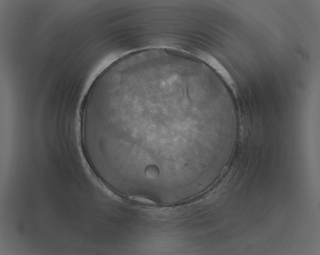 X0000116581096200912241649