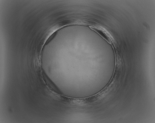 X0000116581097200912241649