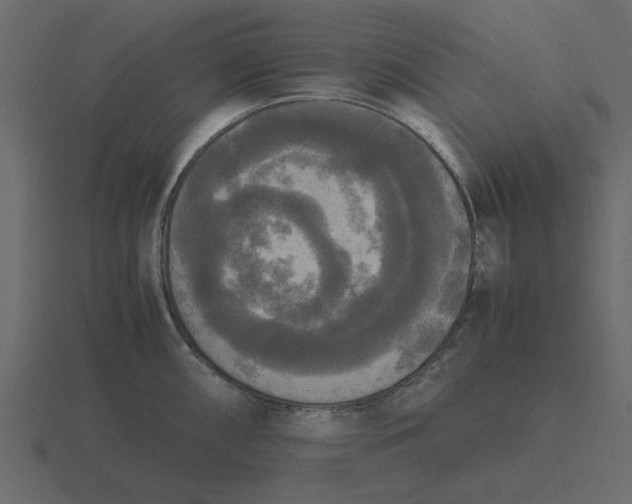 X0000116581098200912241649