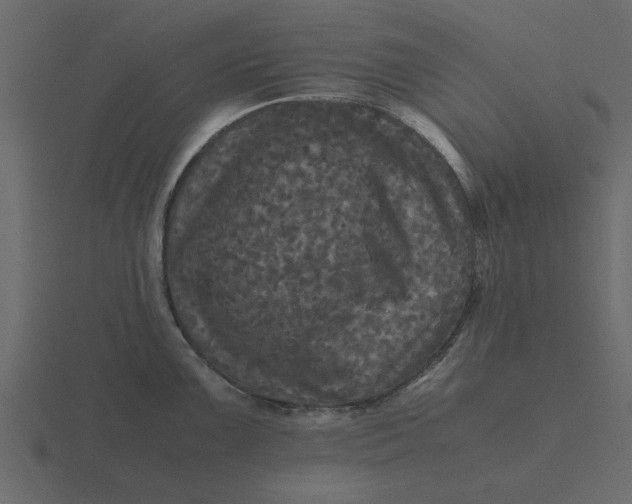 X0000116581099200912241649