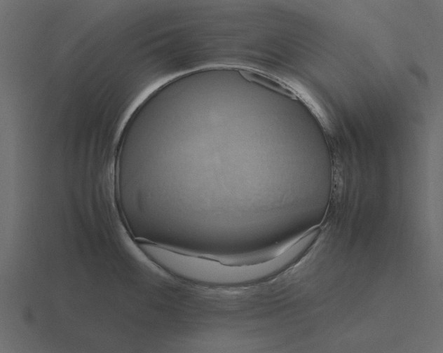 X0000116581100200912241649