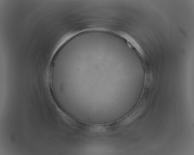 X0000116581101200912241649