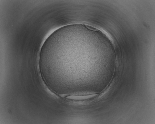 X0000116581102200912241649