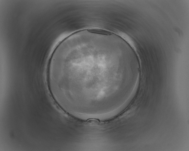 X0000116581104200912241649