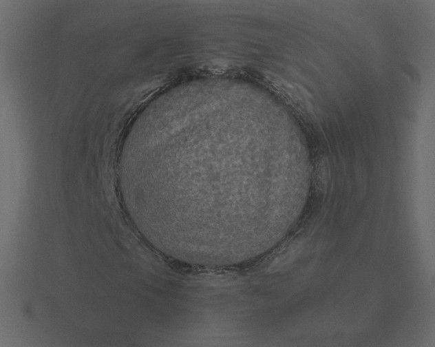 X0000116581105200912241648