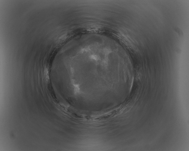 X0000116581106200912241649