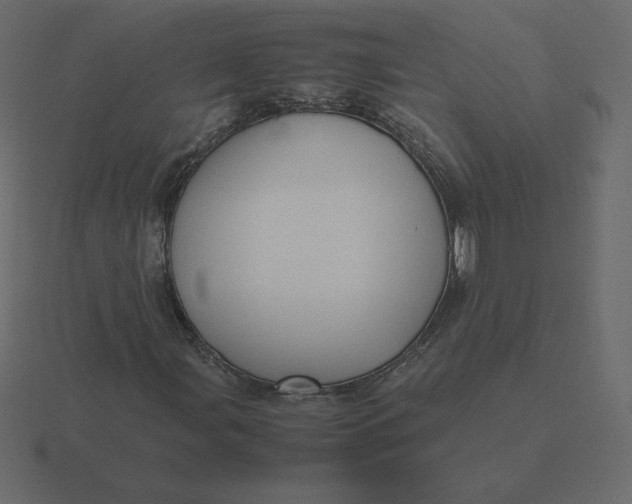 X0000116581107200912241649