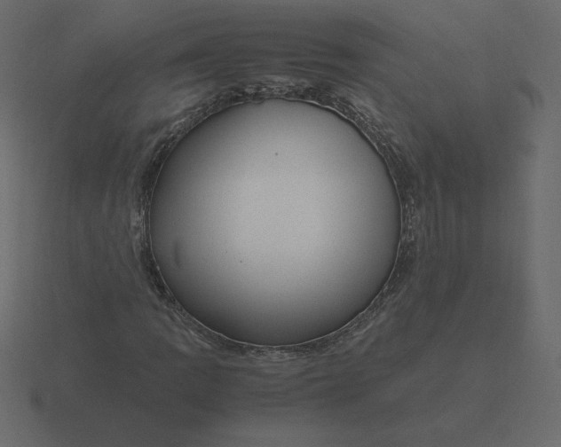 X0000116581109200912241649