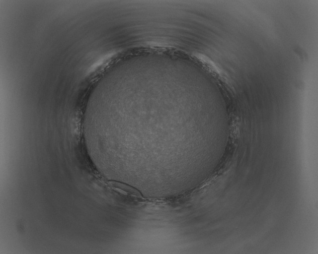 X0000116581110200912241649