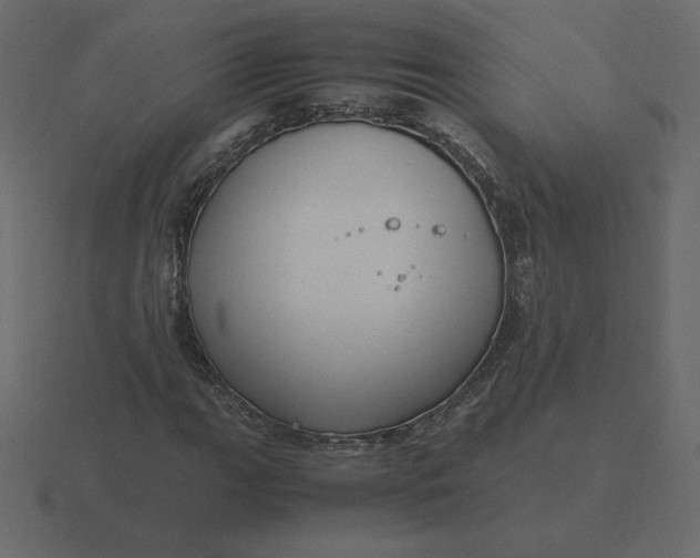 X0000116581111200912241649